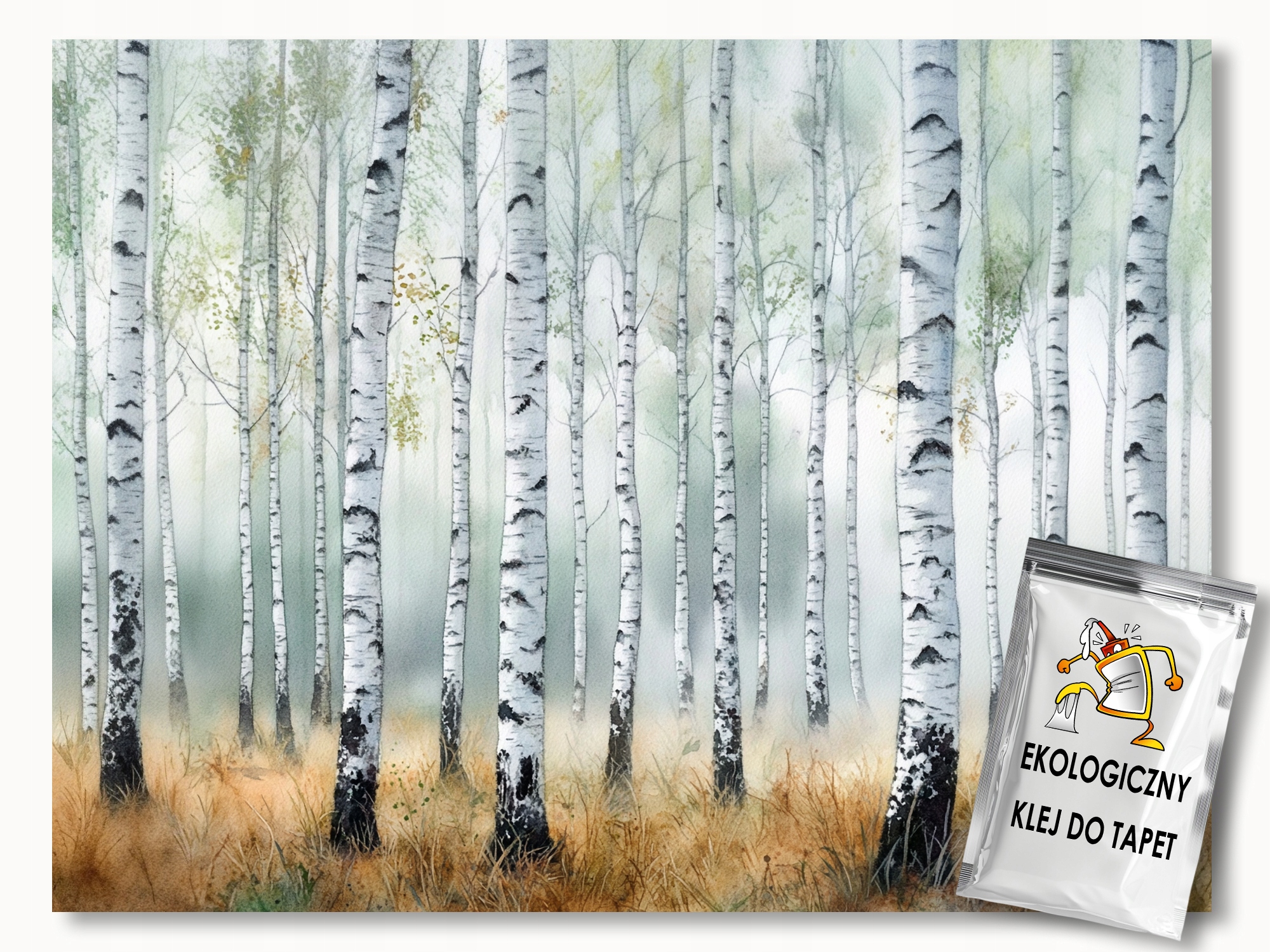 Fototapeta Flizelina Příroda Les Stromy Břízy 250x175 155g