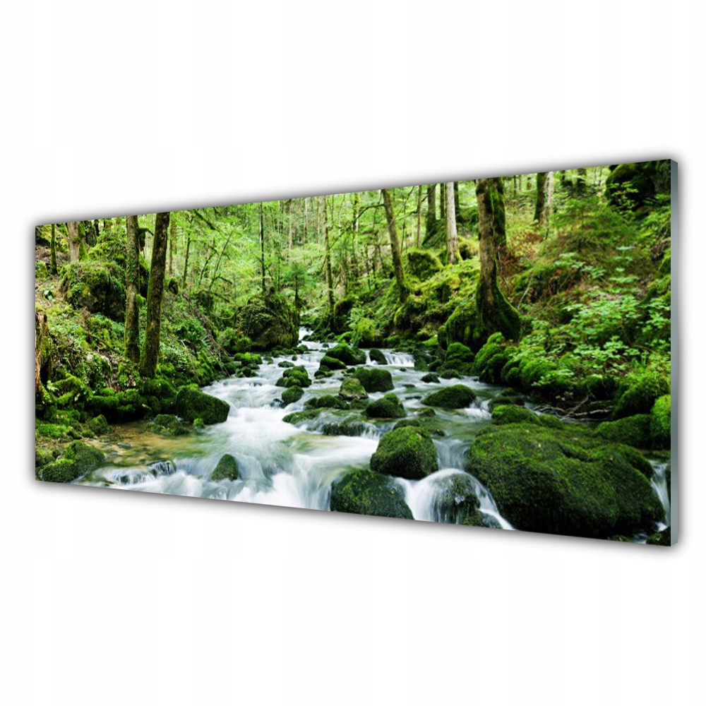 

Fotoobraz akryl 125x50 Las Potok Wodospady Rzeka