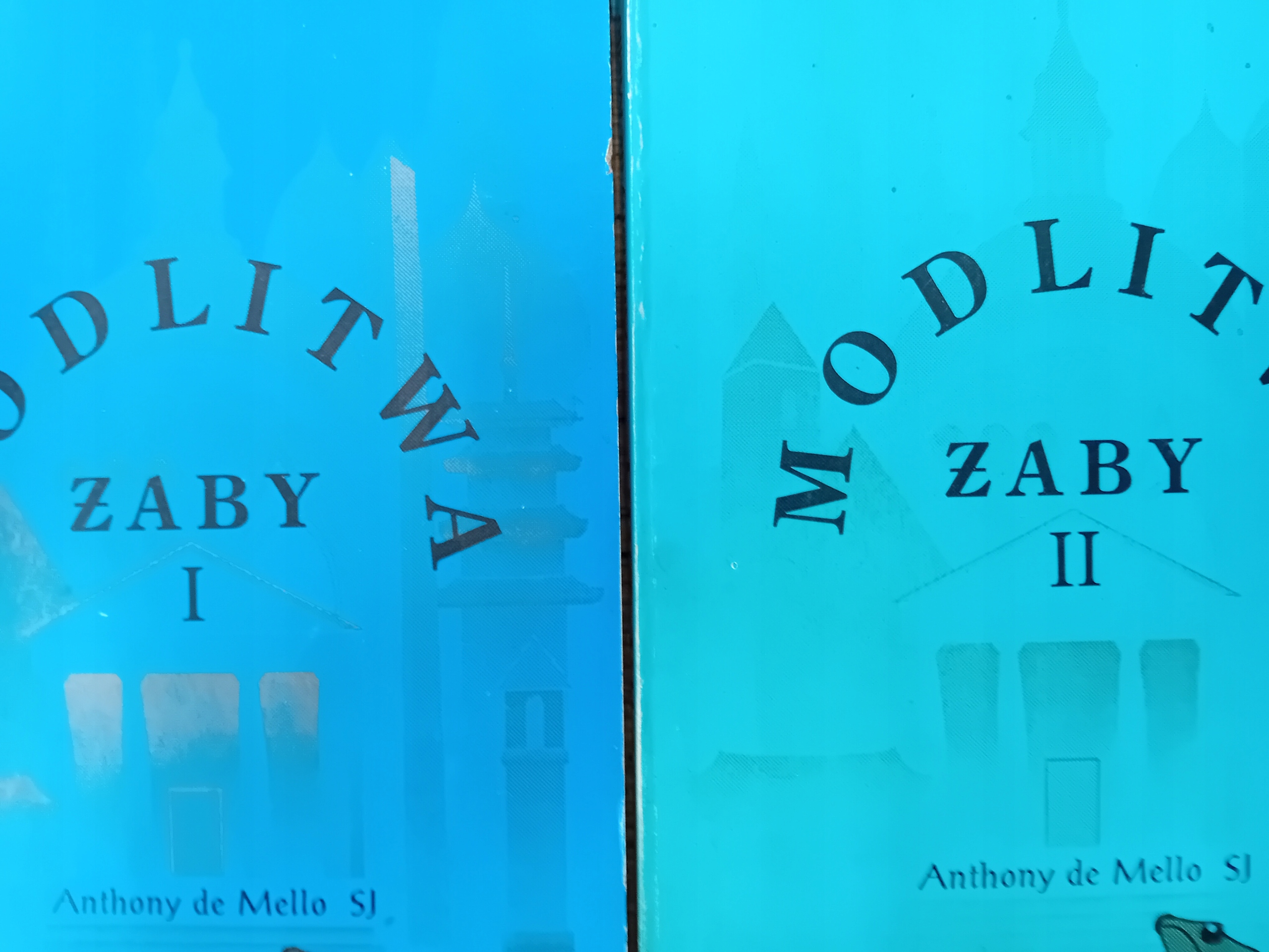 Mello MODLITWA ŻABY 2 TOMY