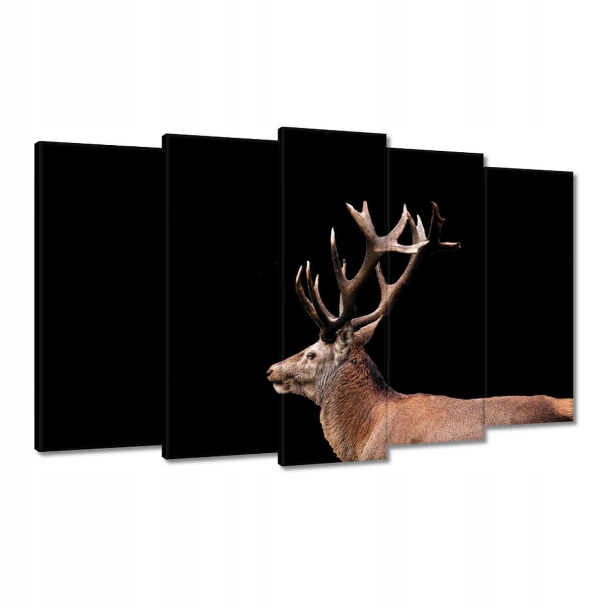 Obrazy 100x60 Jelen s rohy
