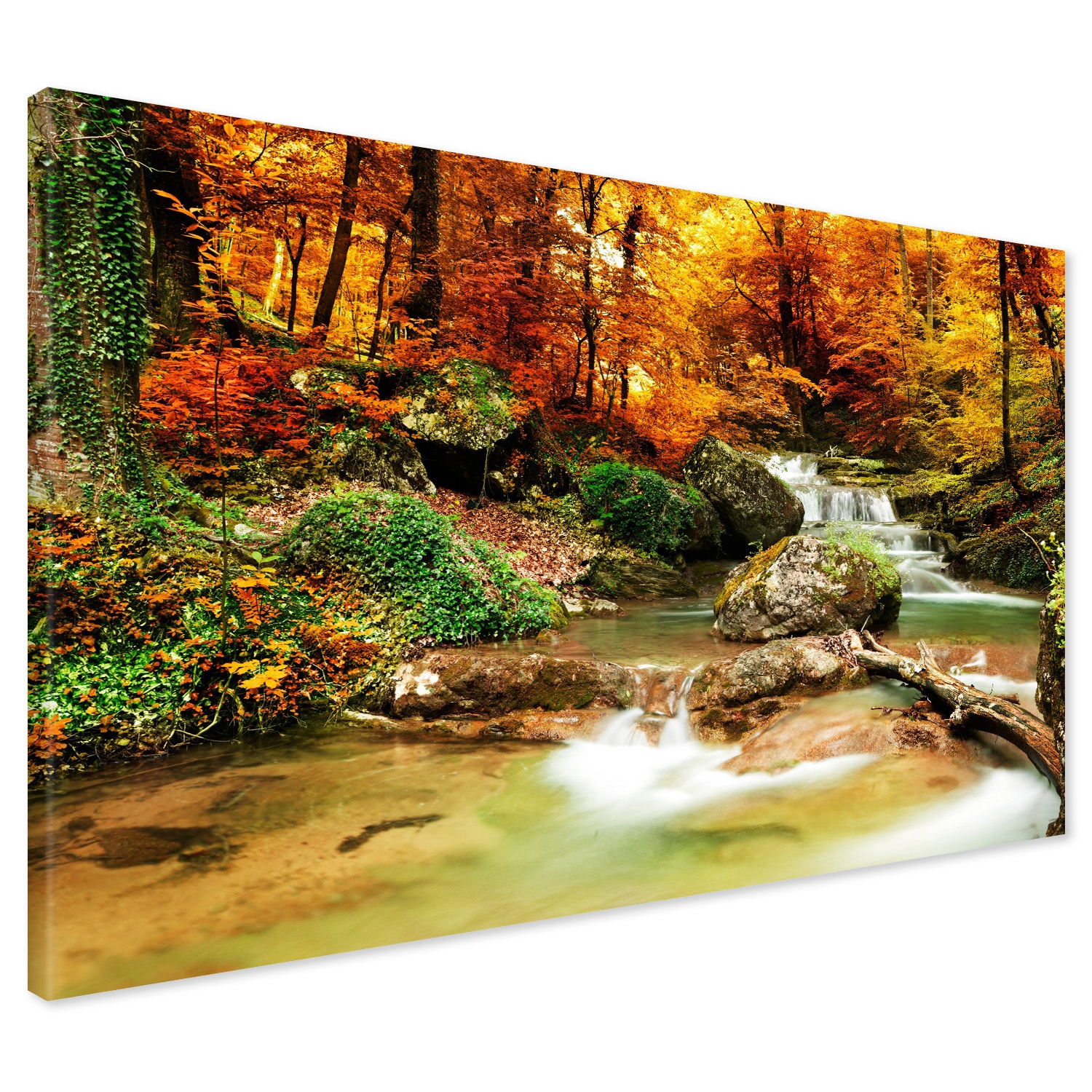 

Obraz na płótnie las drzewa strumyk 120x80