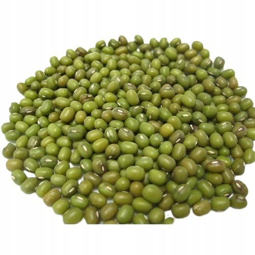 Fazole mungo 5 kg