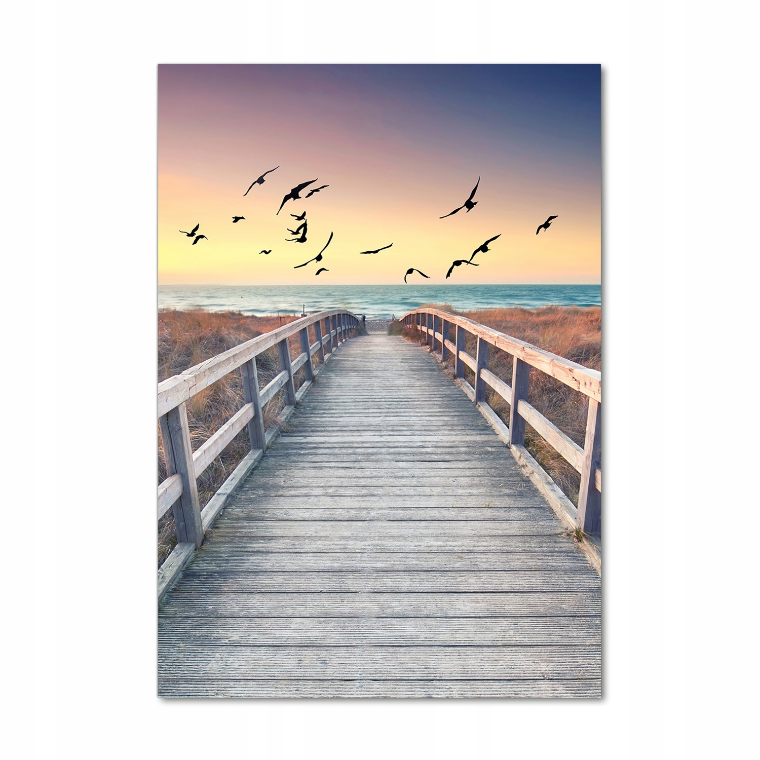 

Foto obraz szkło akrylowe Ścieżka na plażę 70x100