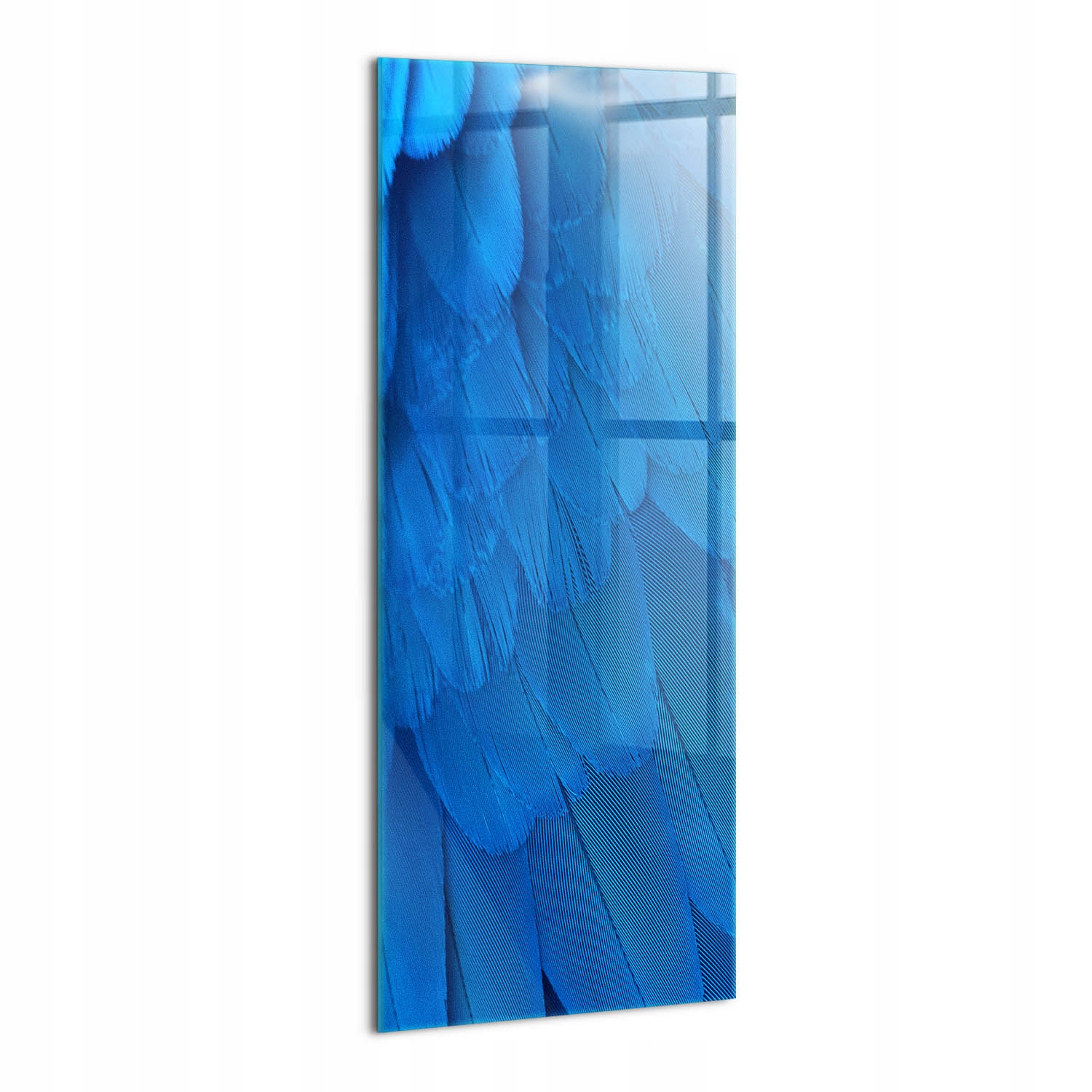 Fotoobraz Sklo do předsíně Klasický Ptačí pero 50x125