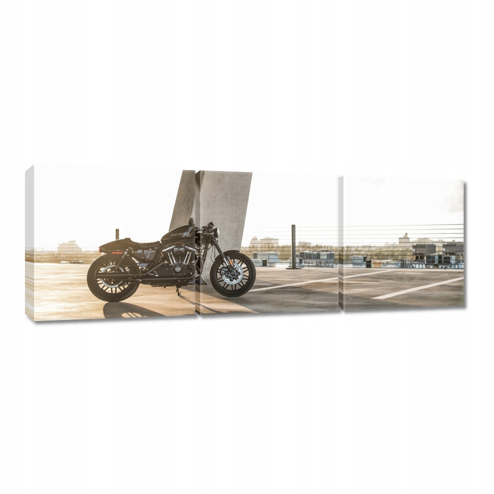 

Obrazy 120x40 Harley Davidson Motocykl