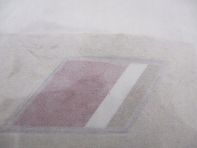 DS7 CROSSBACK MONOGRAM ZNACZEK KLAPY TYLNEJ NOWY ORYGINALNY 98241457DX Stan opakowania oryginalne