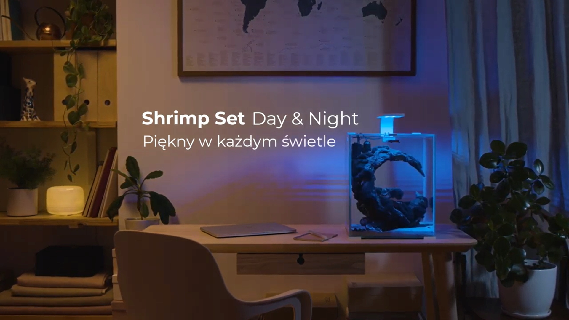 AQUAEL SHRIMP SET II 30L CZARNY Krewetkarium Długość akwarium 29 cm