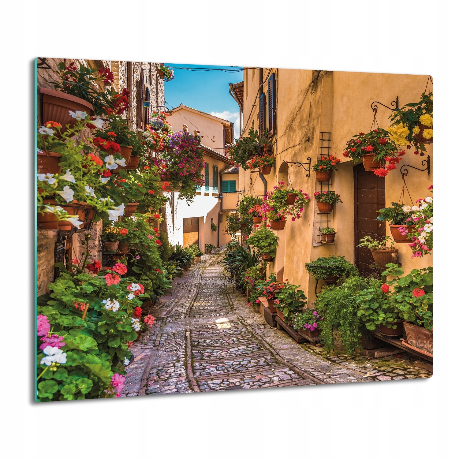 

z foto deska splashback Uliczka kwiaty domy 60x52