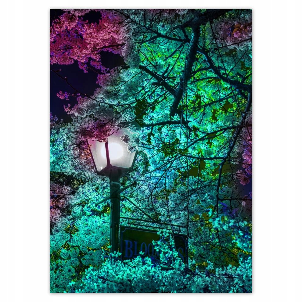 

Naklejki 50x70 Nocny motyw do kuchni