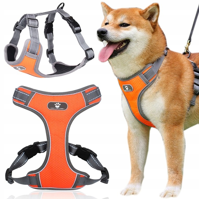 Postroj pro psa Astro oranžový, velikost L