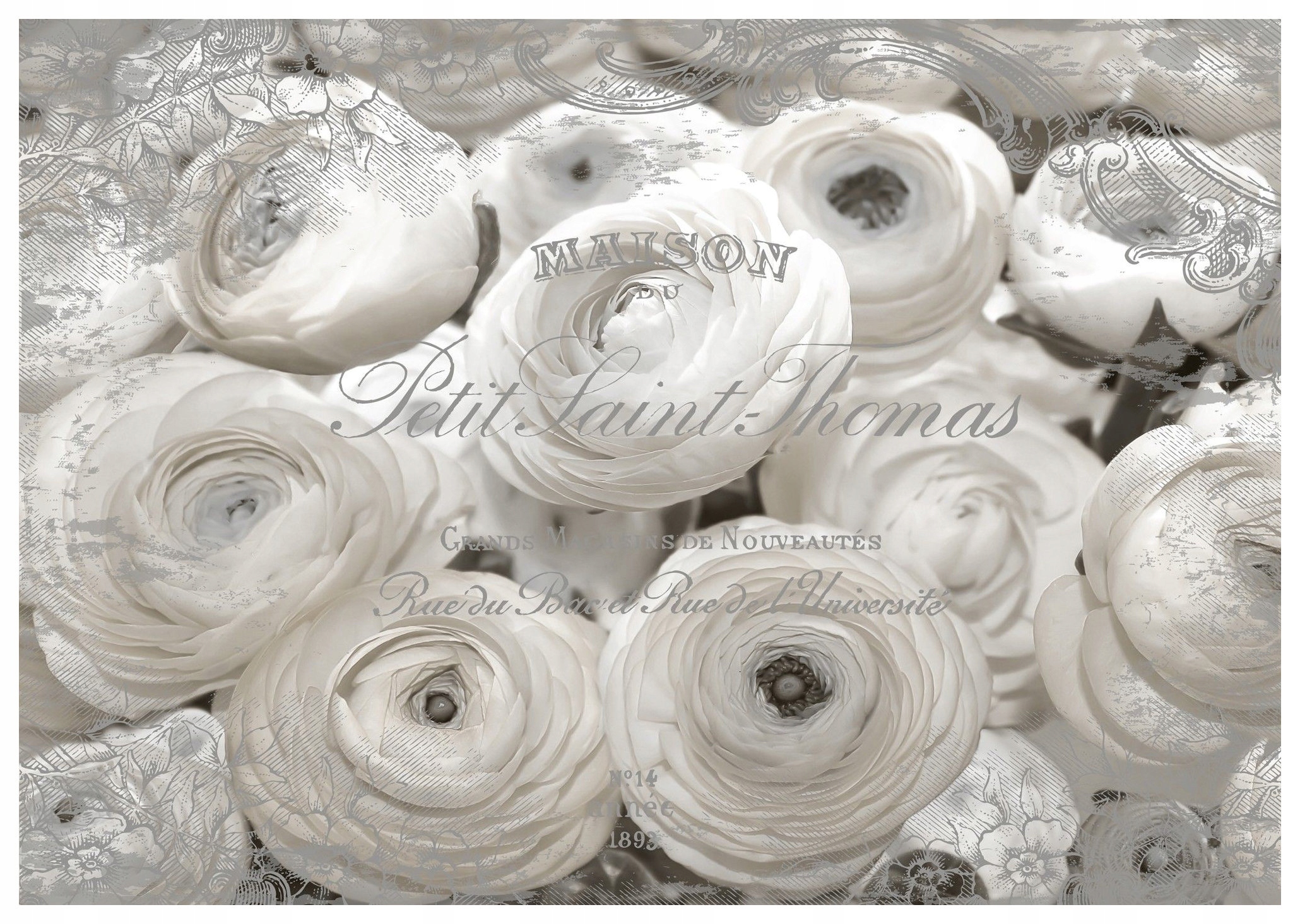 Fototapeta Biele vinylové Ranunculusy Francúzsky Vintage 312x219 lepidlo