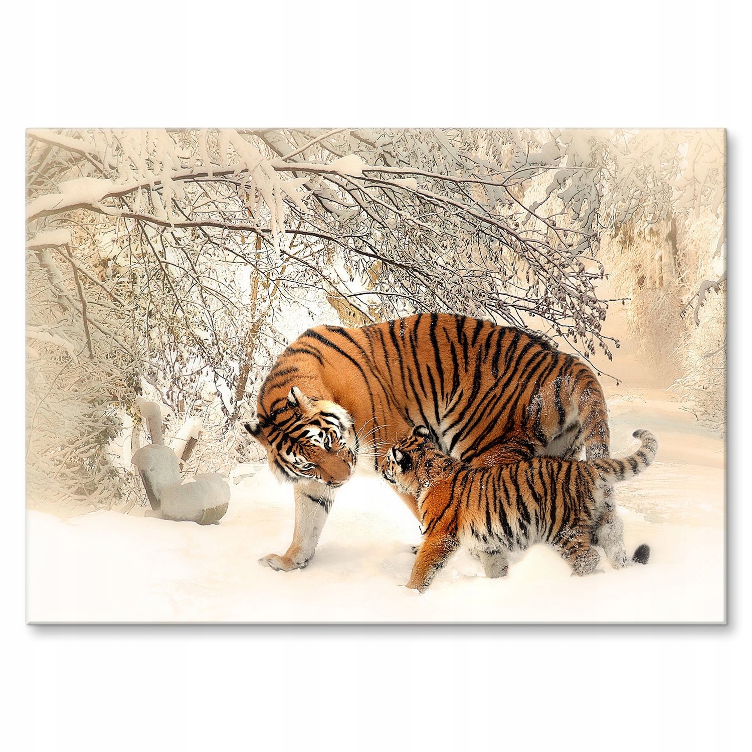 Kovový plakát Tygři ve sněhu Dárek 22 x 31 cm