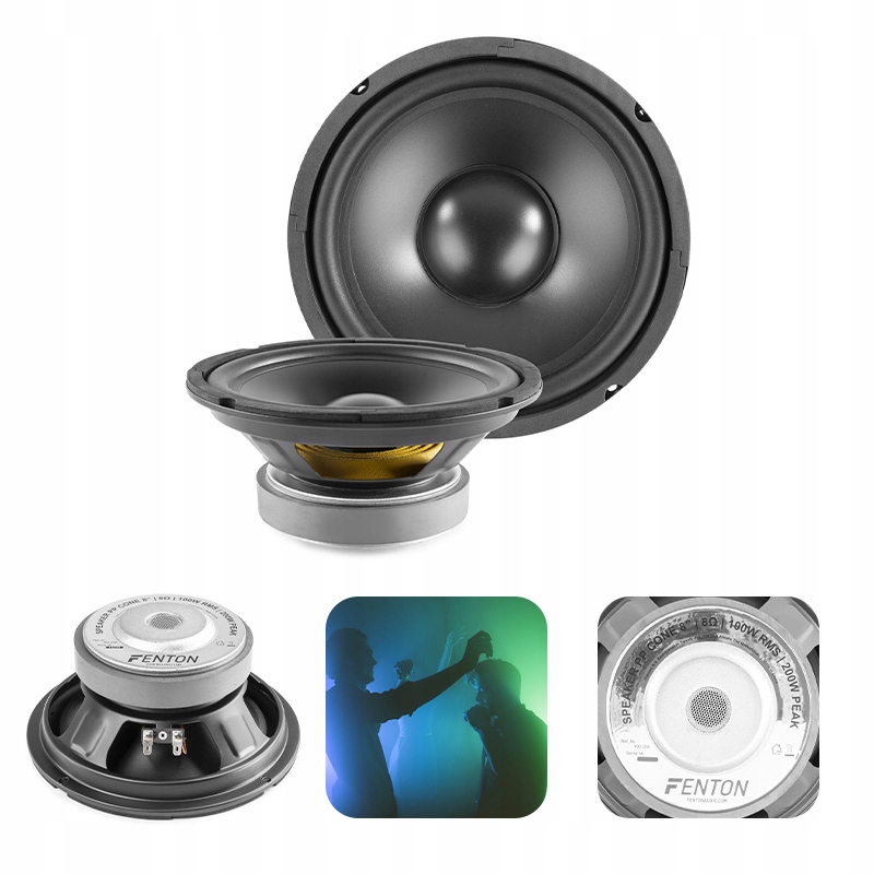 Głośnik do zabudowy niskotonowy Hi-Fi 200W Fenton