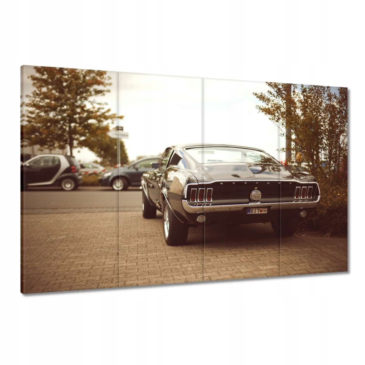 Obrazy 120x80 Vintage foto Ford Mustang
