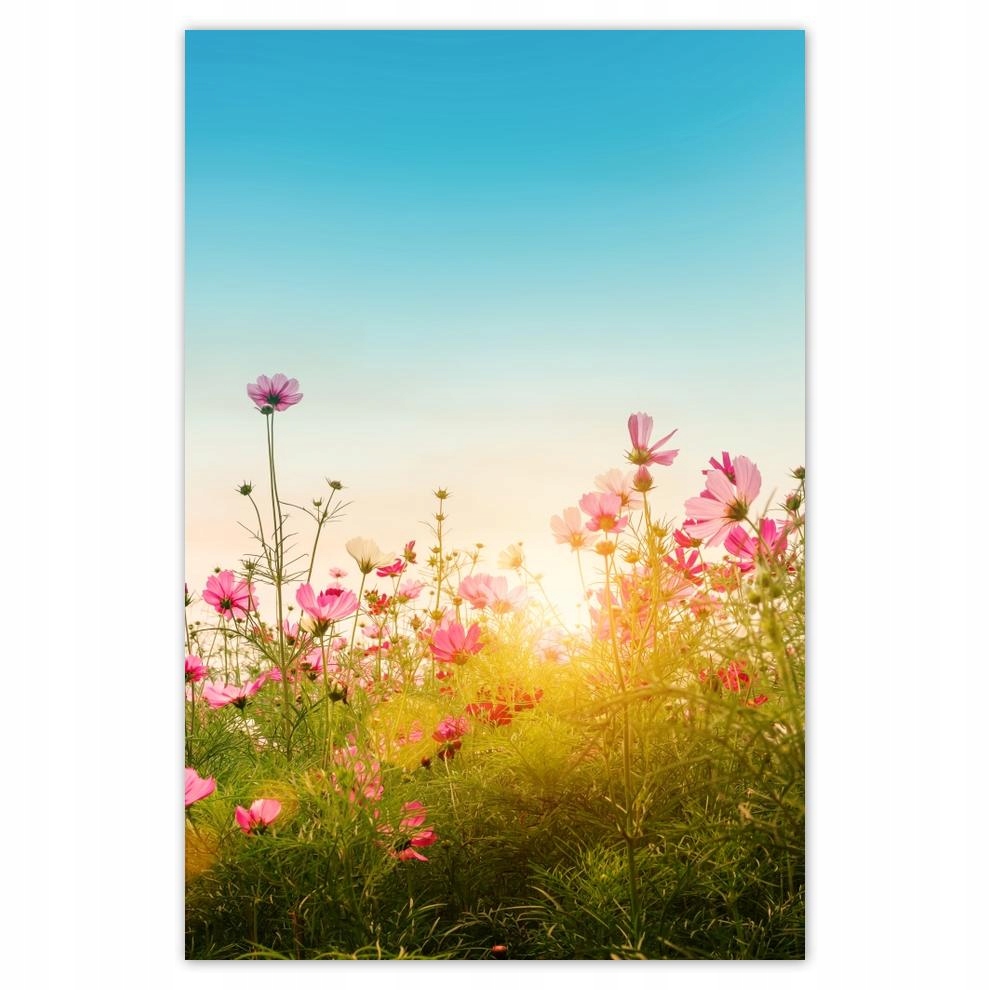 

Plakat 62x93 Kosmiczne kwiaty