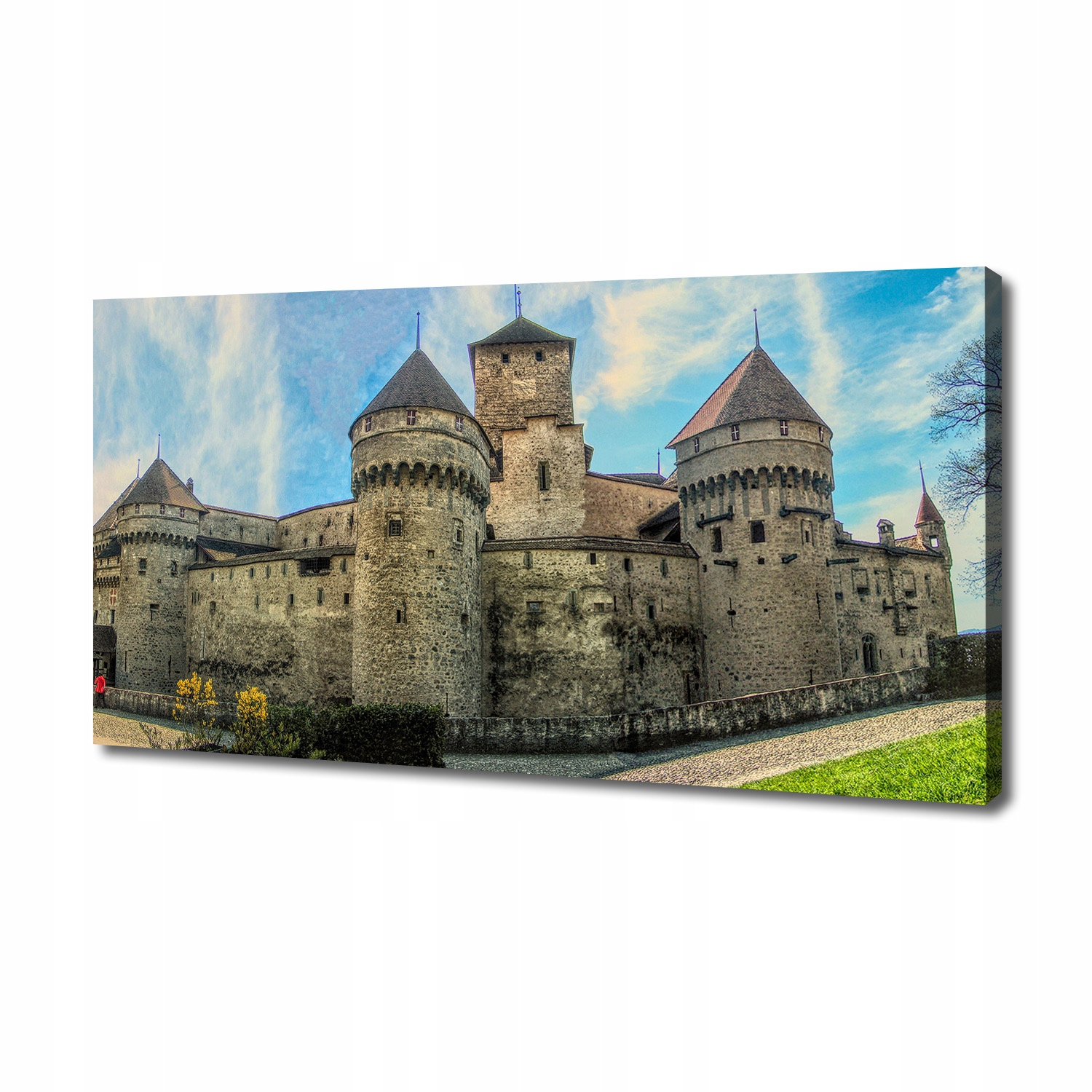 

Foto obraz na płótnie Zamek w Szwajcarii 140x70 cm