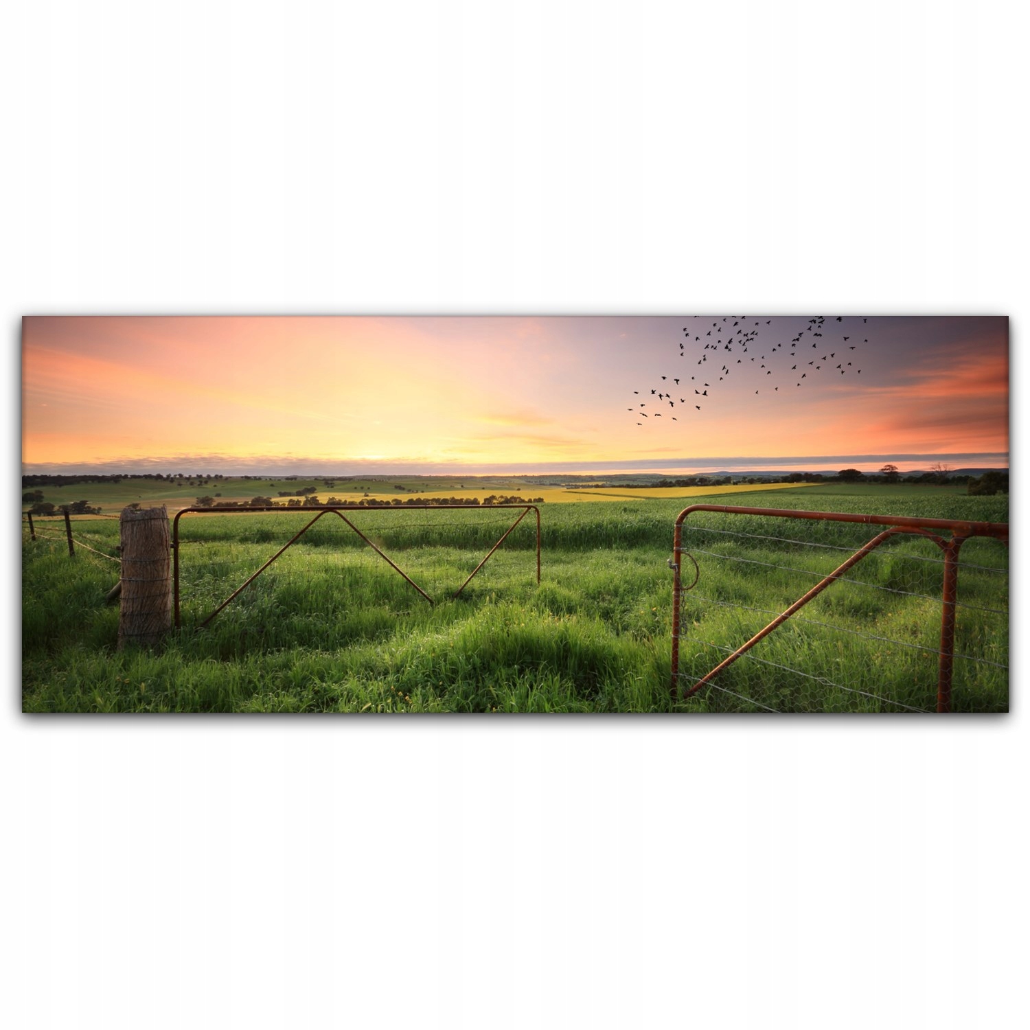 

Canvas na ramie na ścianę 125x50 Rdza Brama Pole