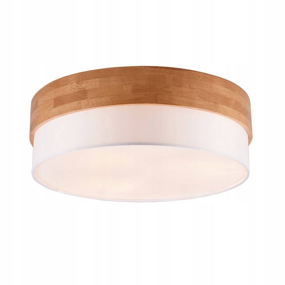 Stropná lampa Trio Seasons 611500301