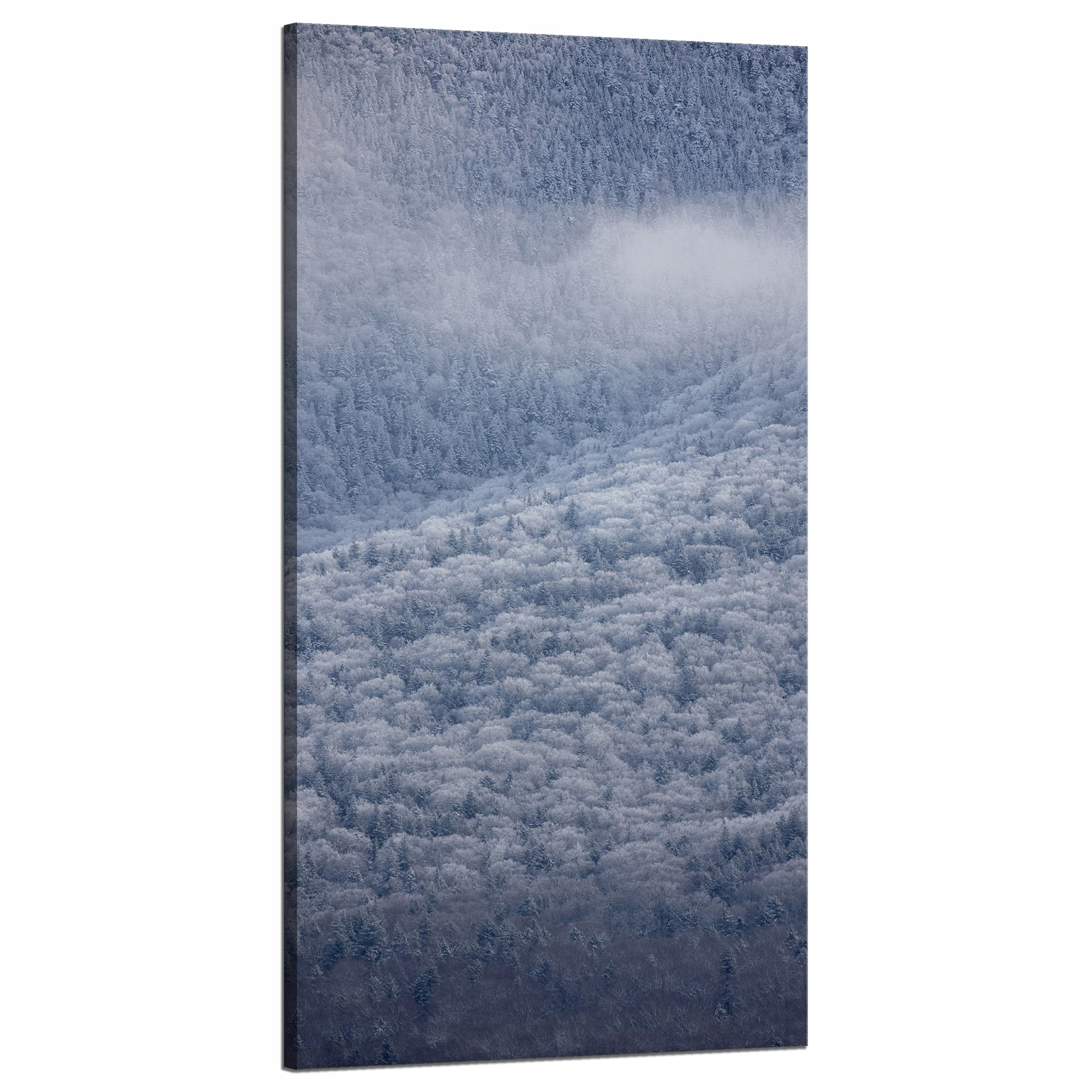 Obraz na plátně Příroda Zasněžený les 60x120 cm