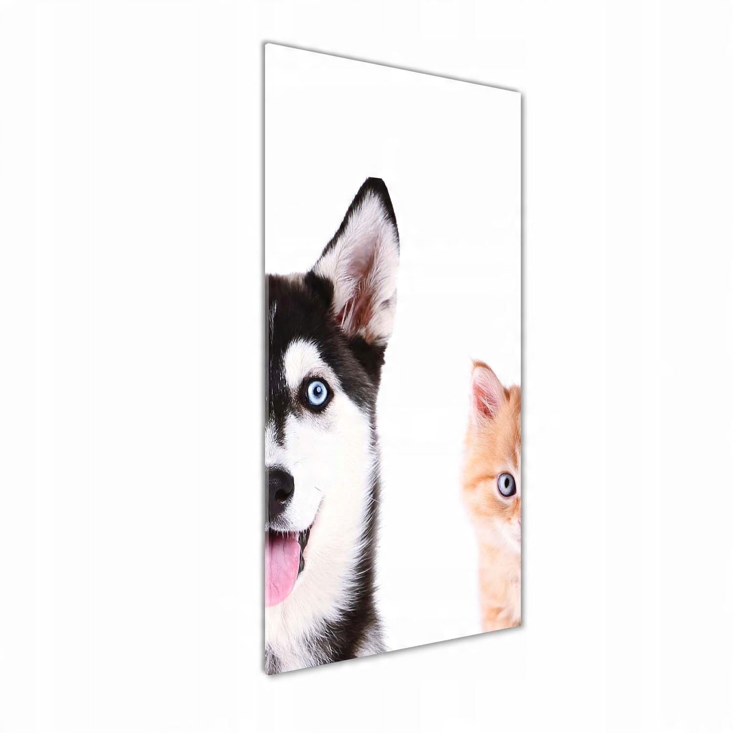 

Foto obraz szkło hartowane Pies i kot 50x125 cm