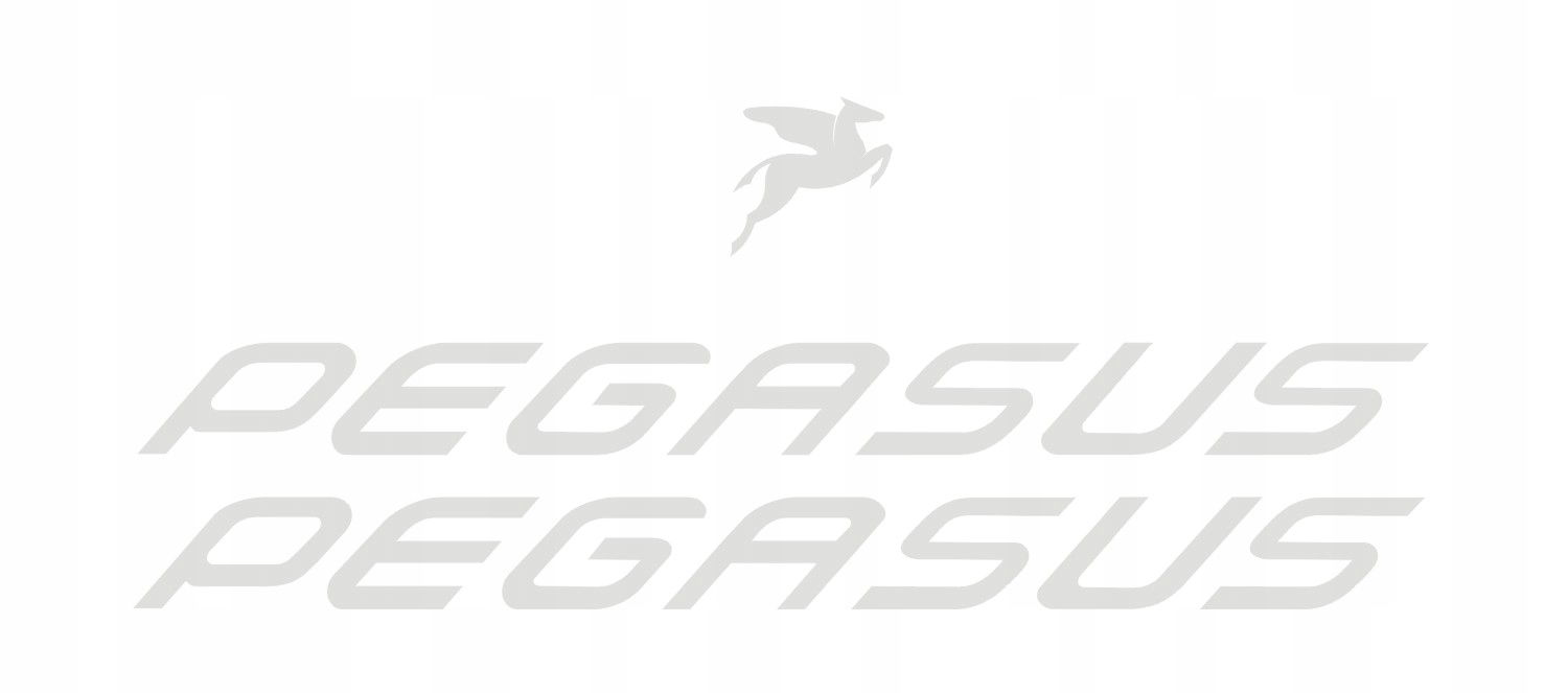 PEGASUS 188A białe naklejki na rower