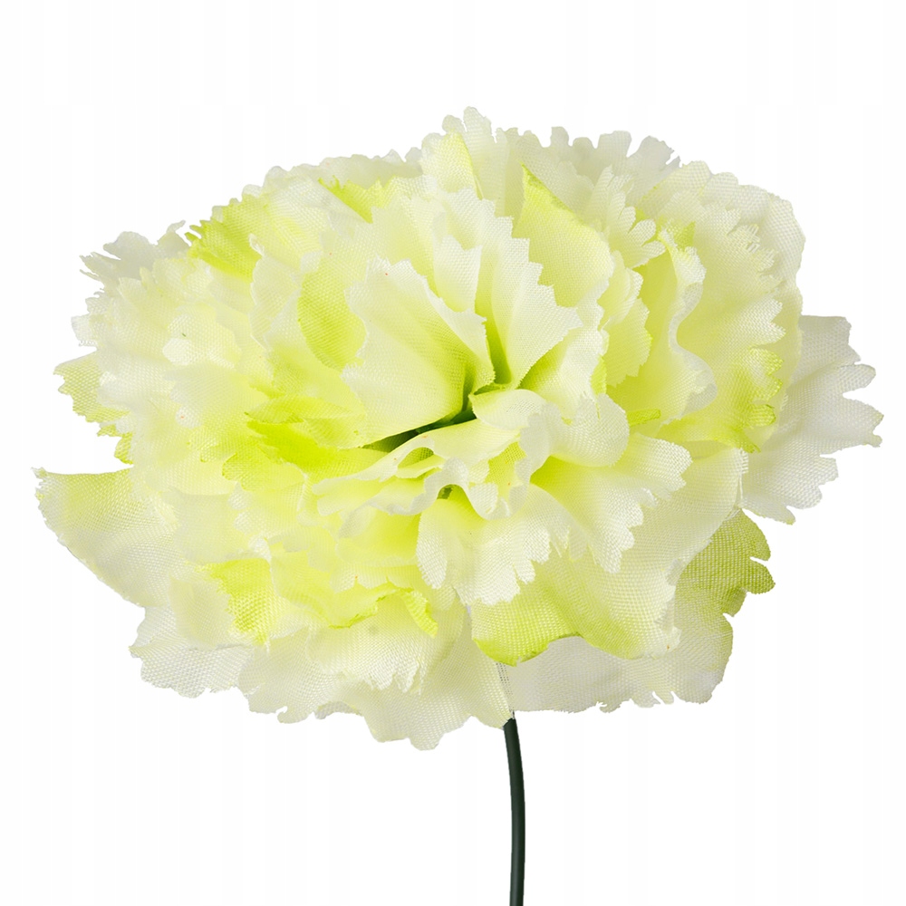 

Goździki Kwiaty Główki Kwiatowe Sztuczne Kwiatki