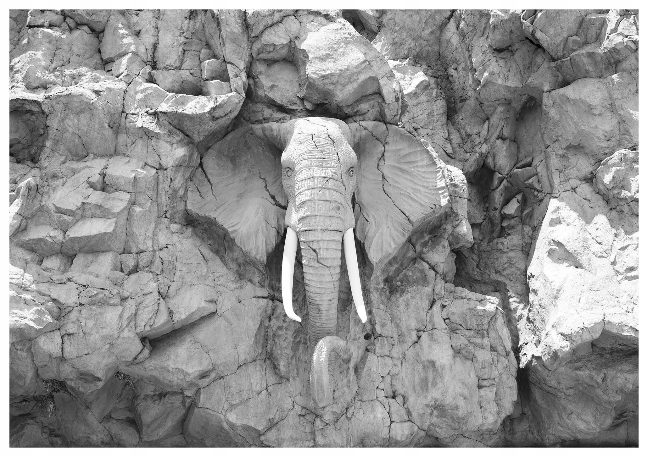 Vinylová fototapeta Slon na skále, černobílé mistrovské dílo 368x254 lepidlo