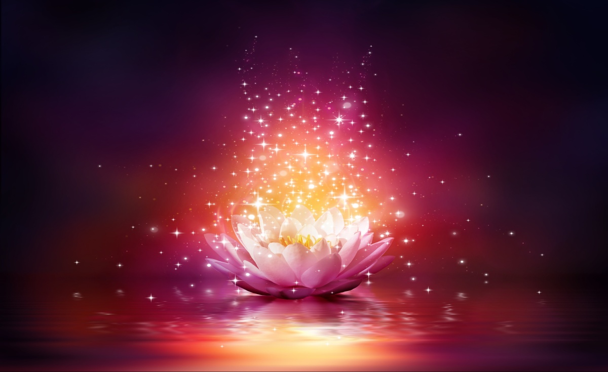

Tapeta flizelinowa Lotus Gwiazdy 416x254
