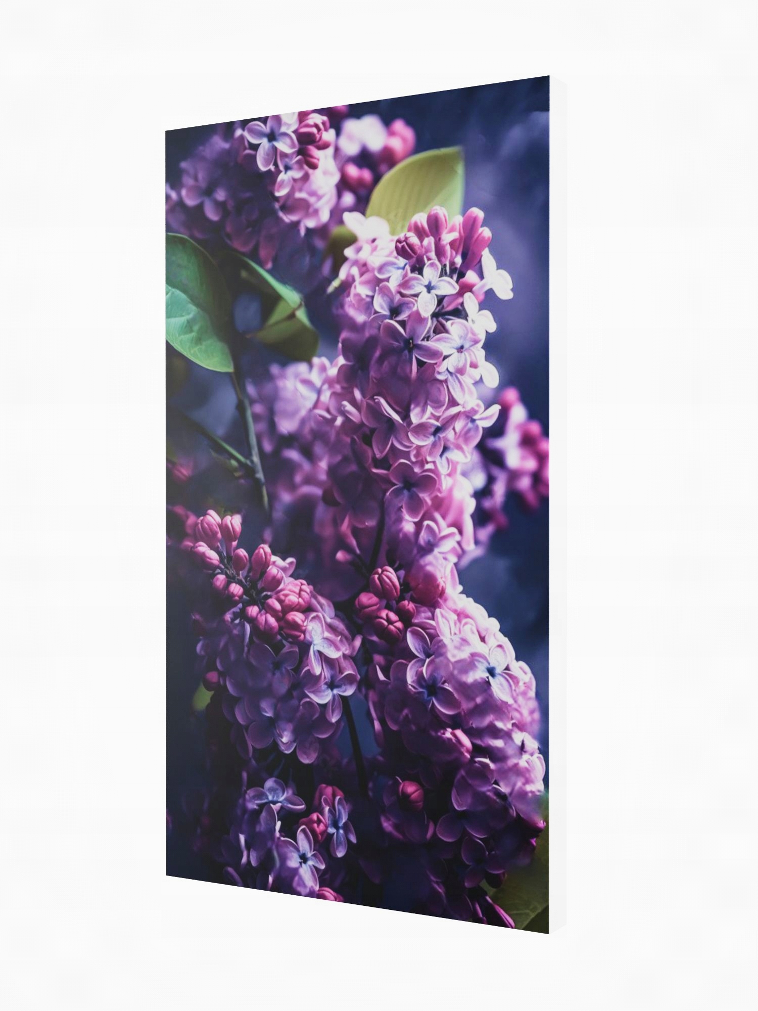 Dekorativní radiátor s Obrazem ART12. 545x970