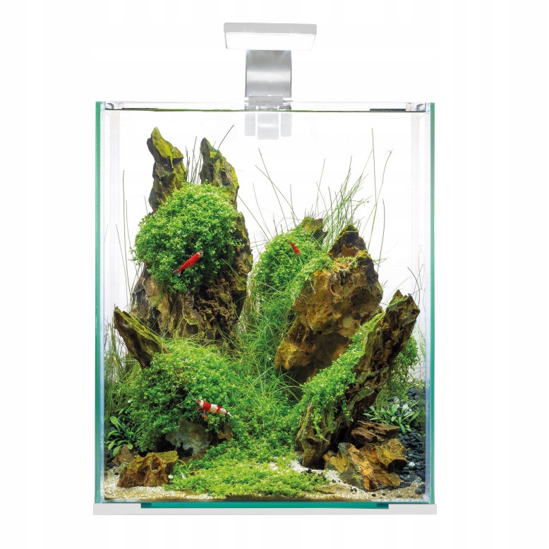 

Aquael Shrimp Set Day Night 30L Biały Akwarium