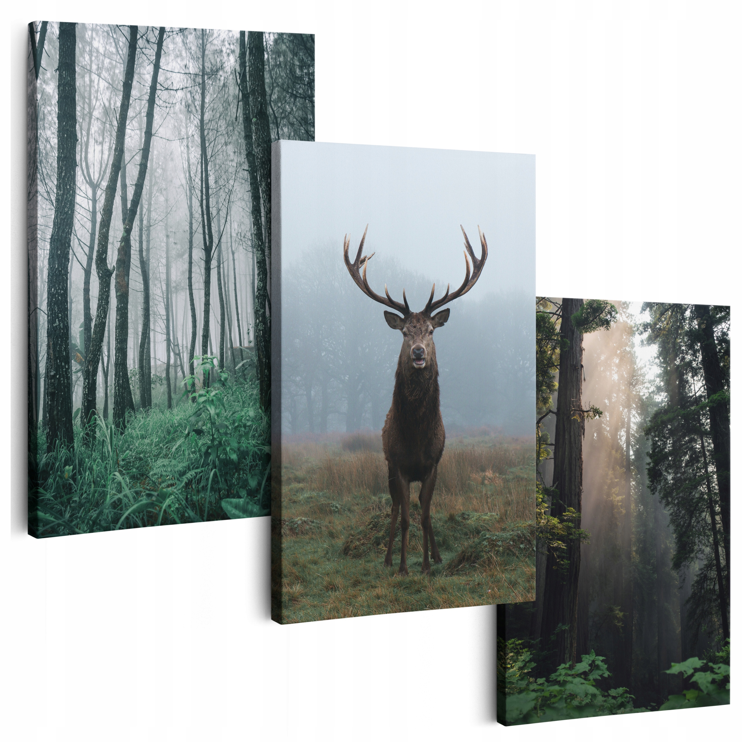 Obraz Na Plátne 150 cm **veľa vzorov** Obrazy Do Obývačky Na Stenu Hmla