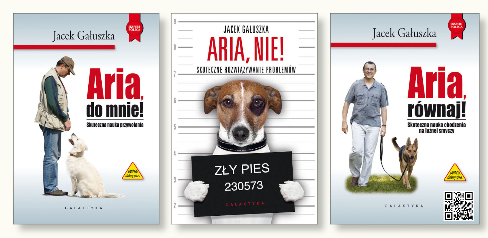 Aria Równaj Aria Nie Aria Do Mnie Jacek Gałuszka