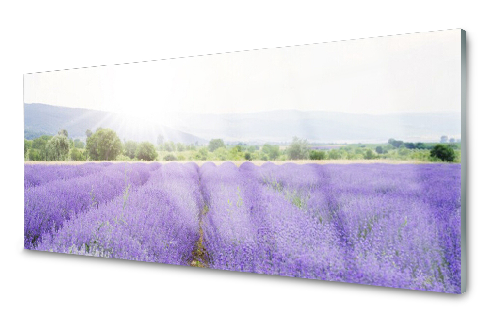 

Panel szklany do kuchni Pole Lawendy Łąka 125x50