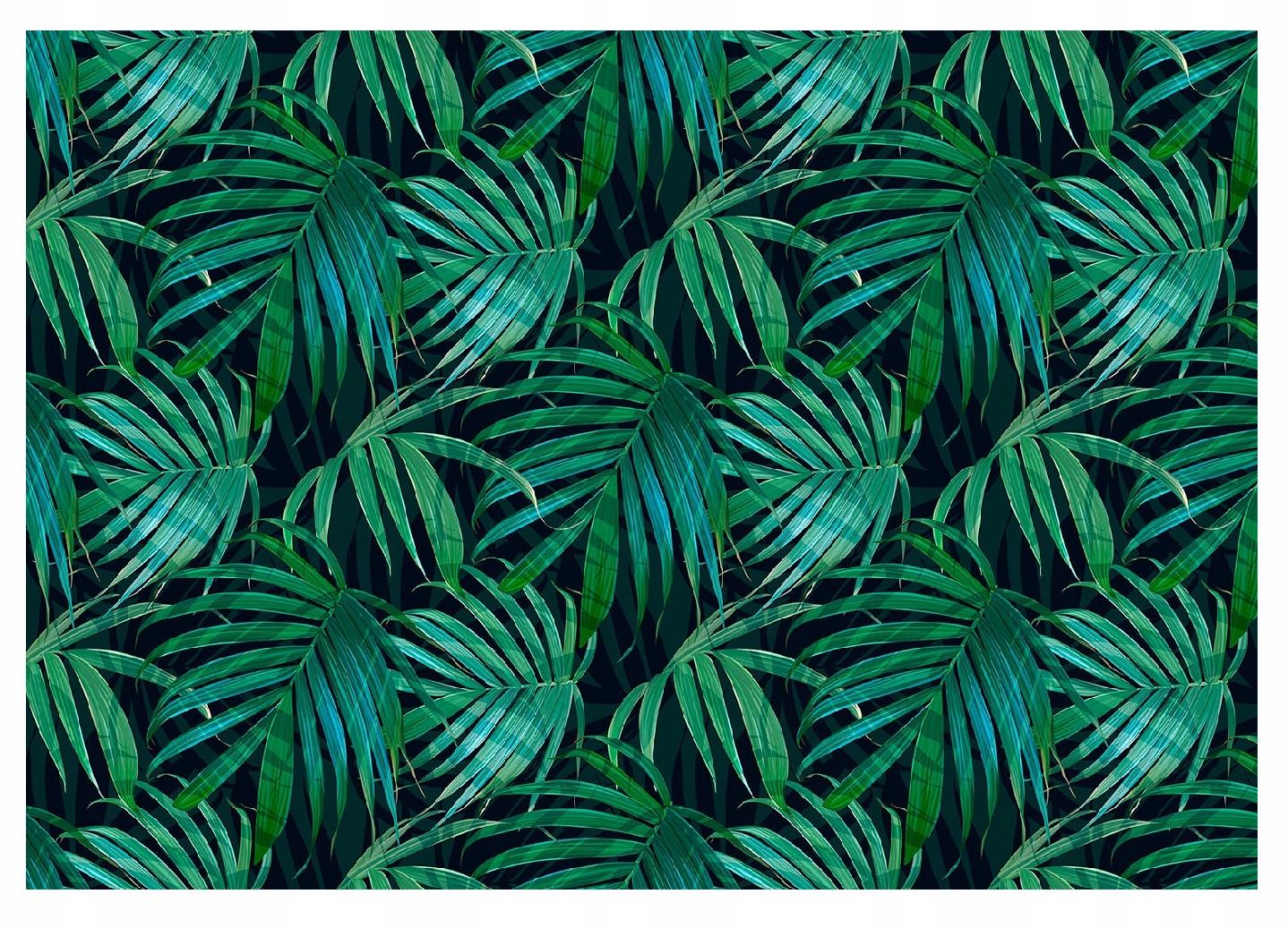 Fototapeta Tropické Listy XXL zelená 520x318