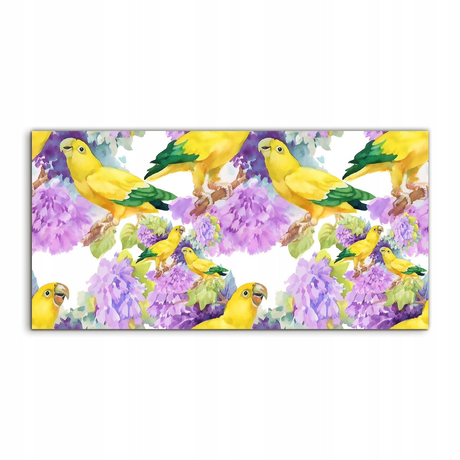 

Fotoobraz 100x50 z grafiką Ptaki Zwierzęta Papuga