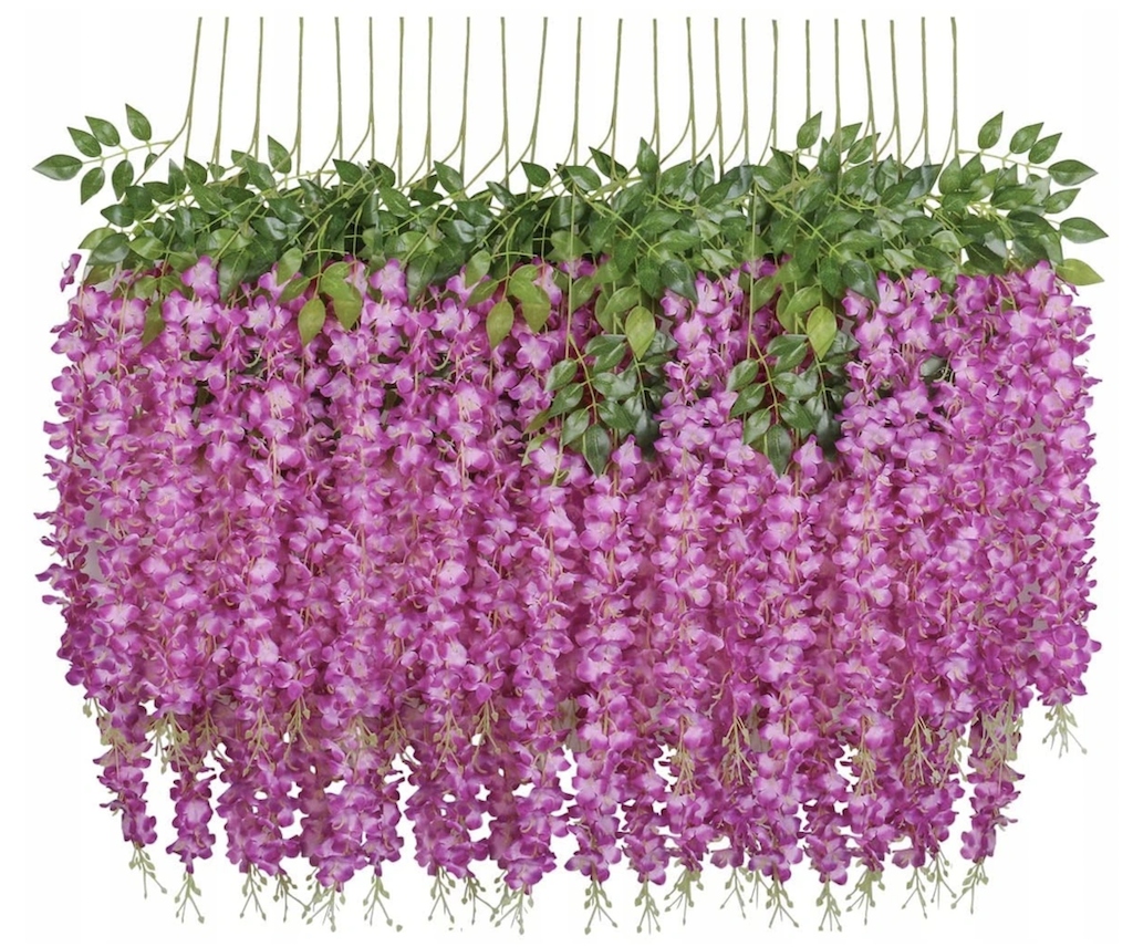 

12x Glicynia wisteria zwisy kwiatowa ściana różowy