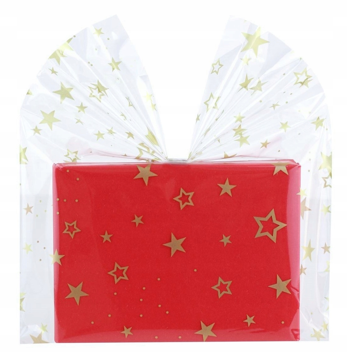 Torebki na prezenty ŚWIĄTECZNE ozdobne 25x35 50 G Rodzaj torebka