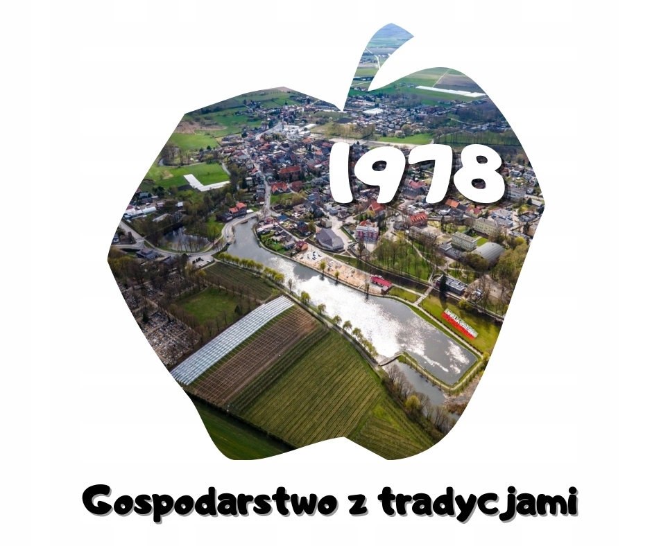 SOK JABŁKO-RABARBAR 92%-8% 5L RUBI JUICE NFC