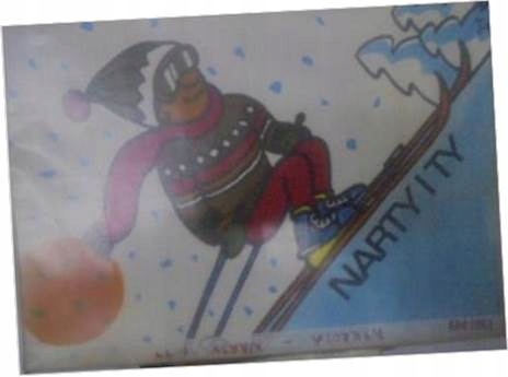 Narty i Ty - L. Wykrota