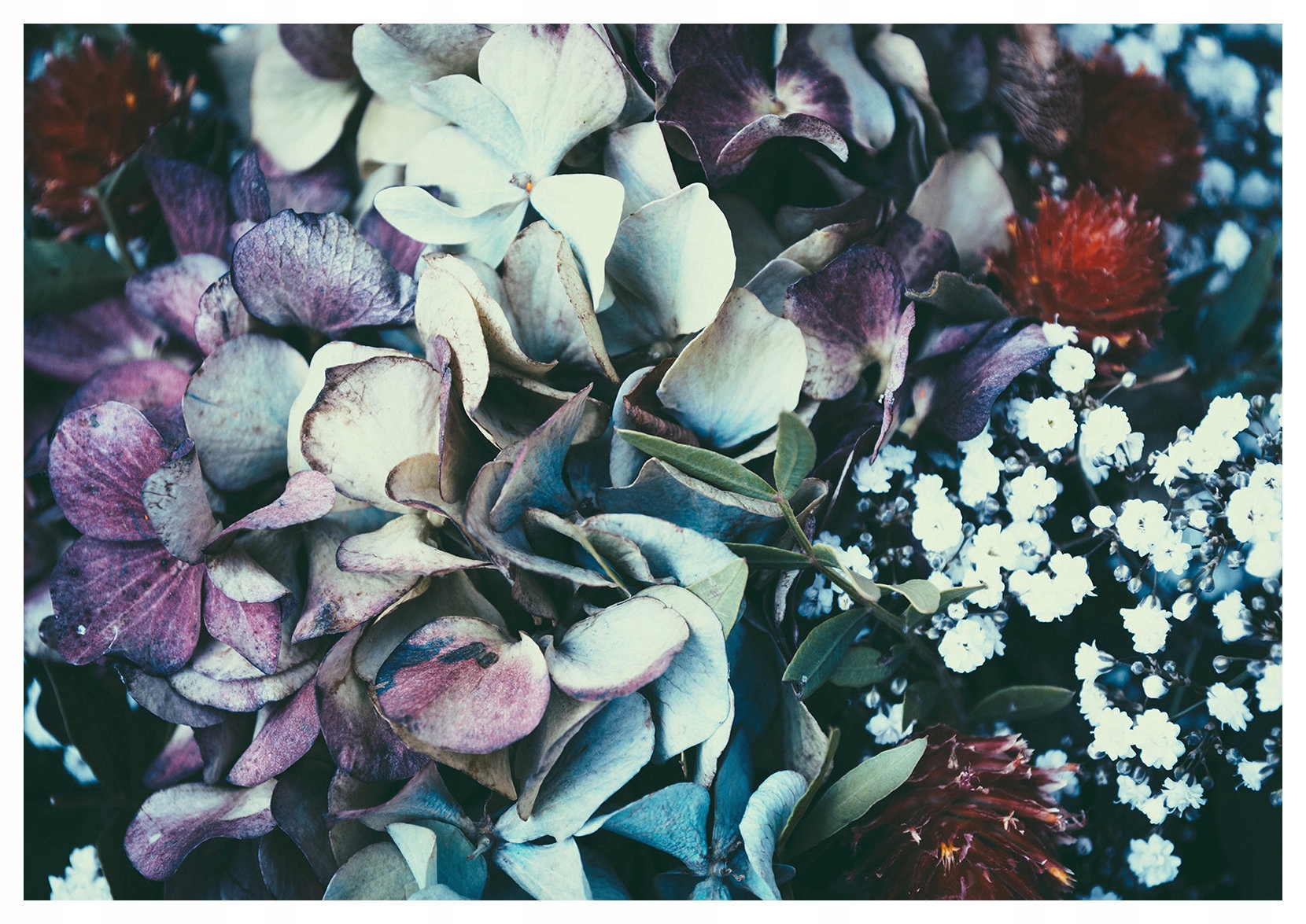 Fototapeta Hortenzie a eukalyptus Pastelová symfónia 312x219 lepidlo