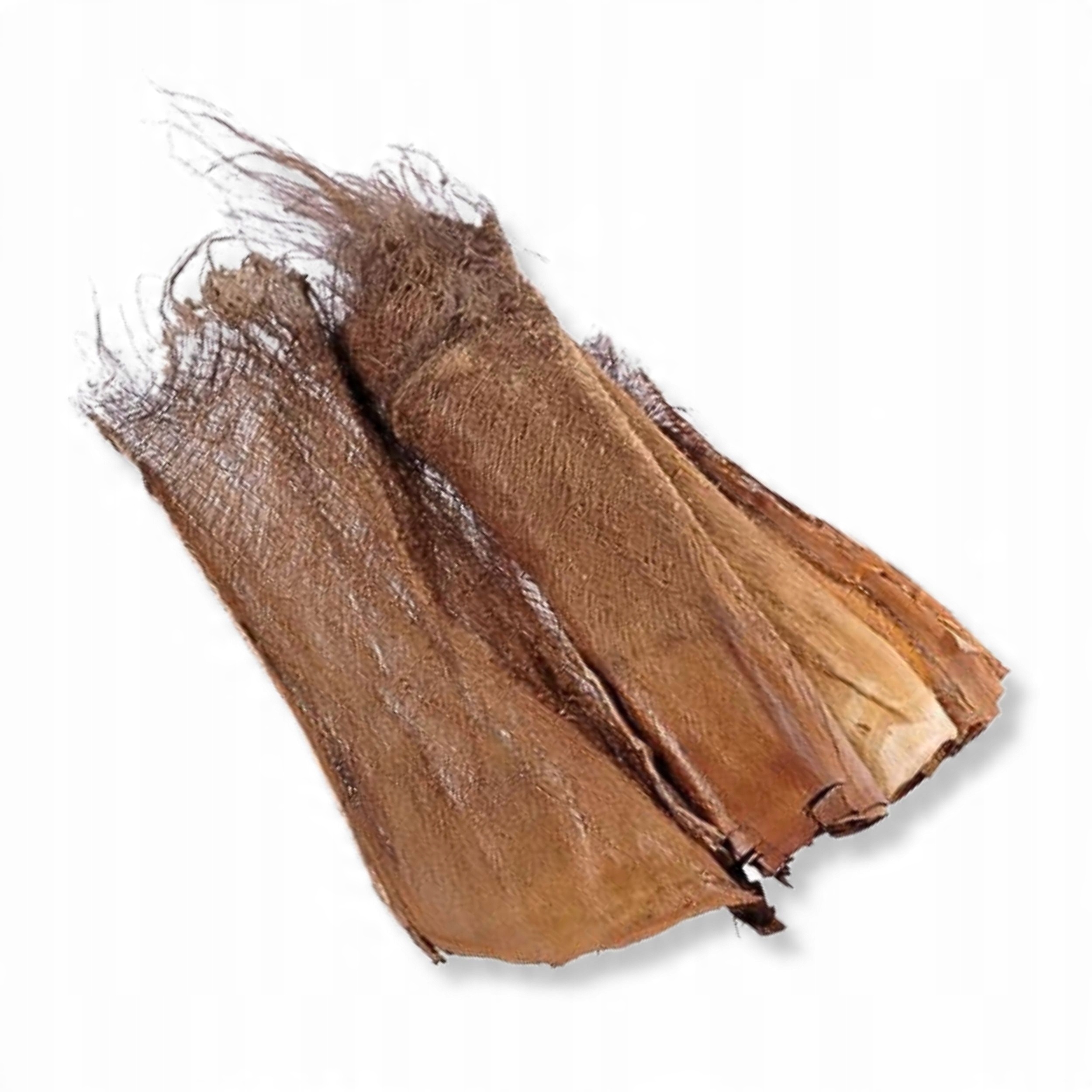 

Kora palmy, kora palmowa, płat palmy