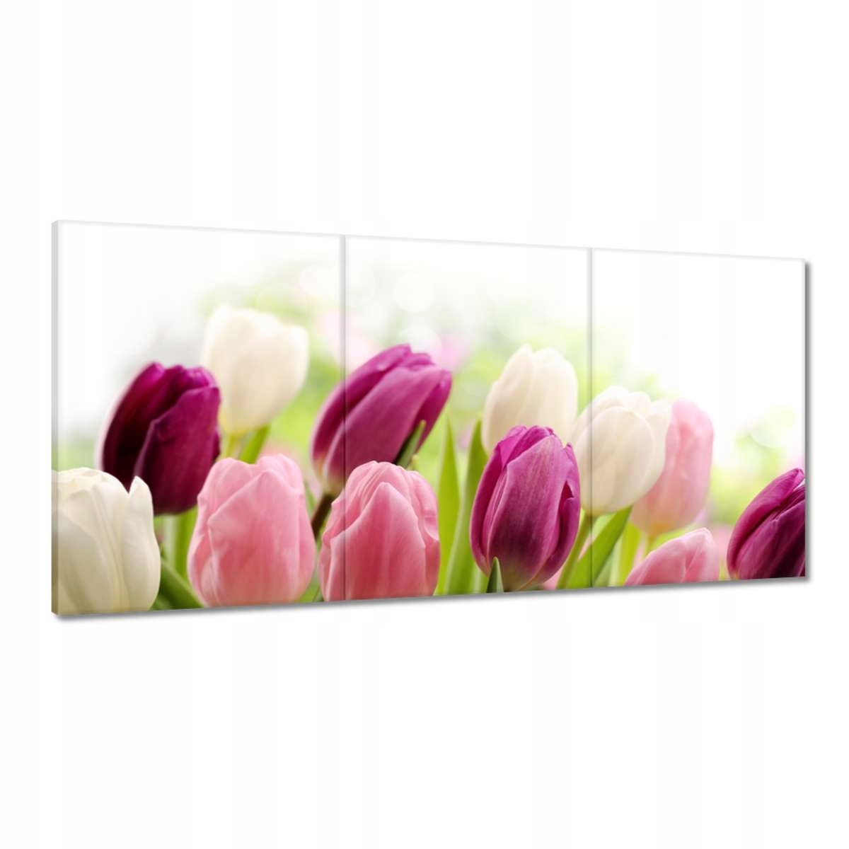 Obrazy 180x90 Krásne tulipány
