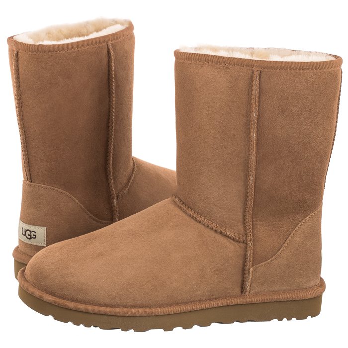 

Buty Męskie Zimowe Ugg M Classic Short Brązowe