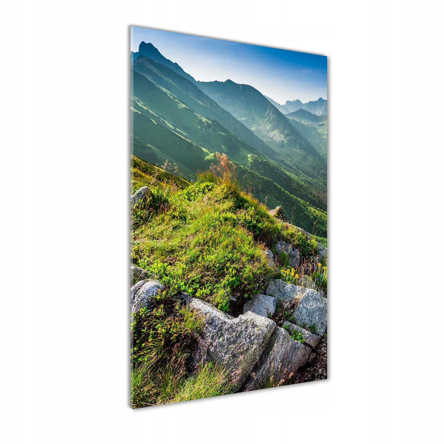 Akrylový obraz na zeď Hory v létě 70x140 cm