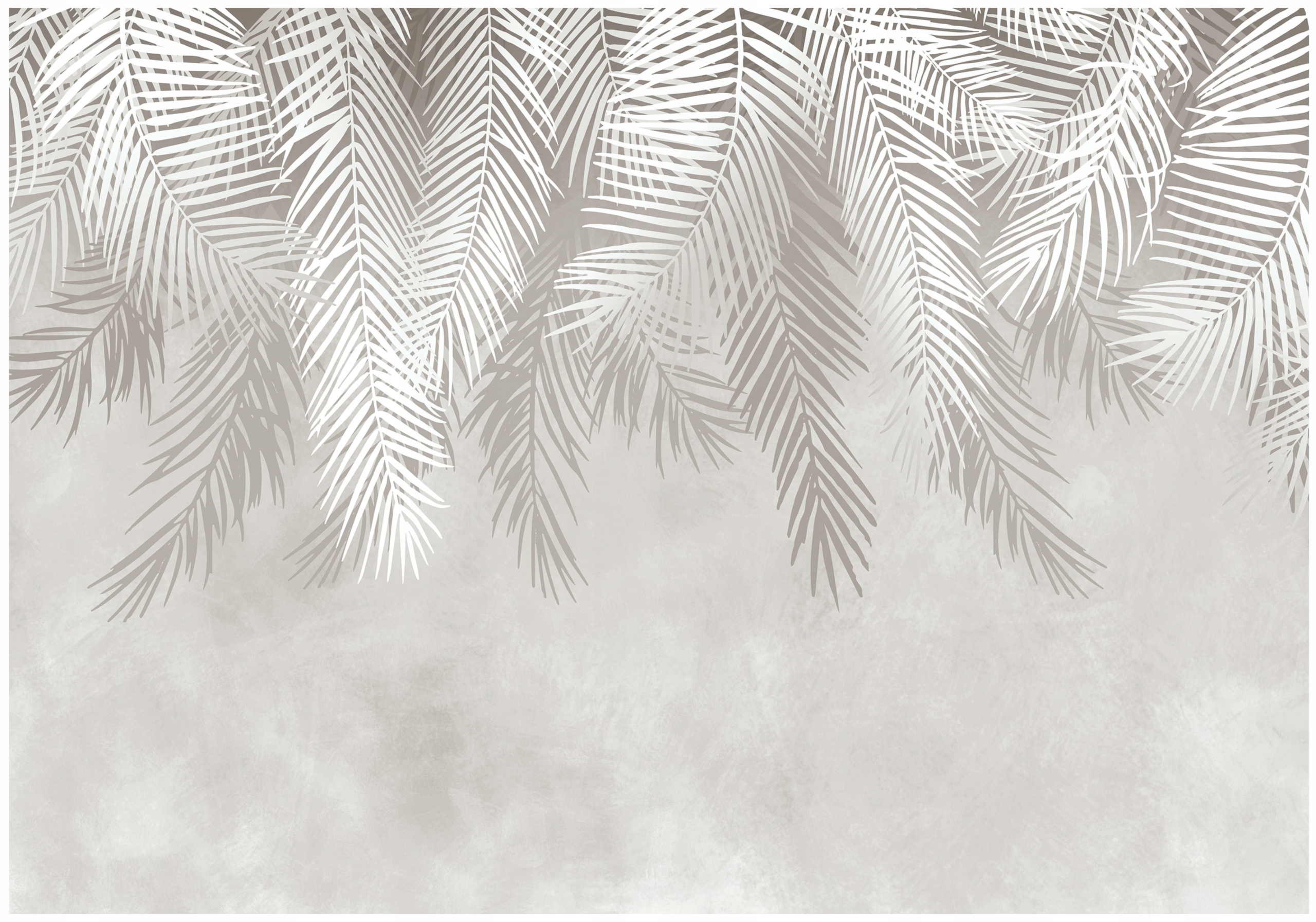 Fototapeta Listy Palmy Pera Do Ložnice Obývacího Pokoje Tapeta Na Zeď 150x105