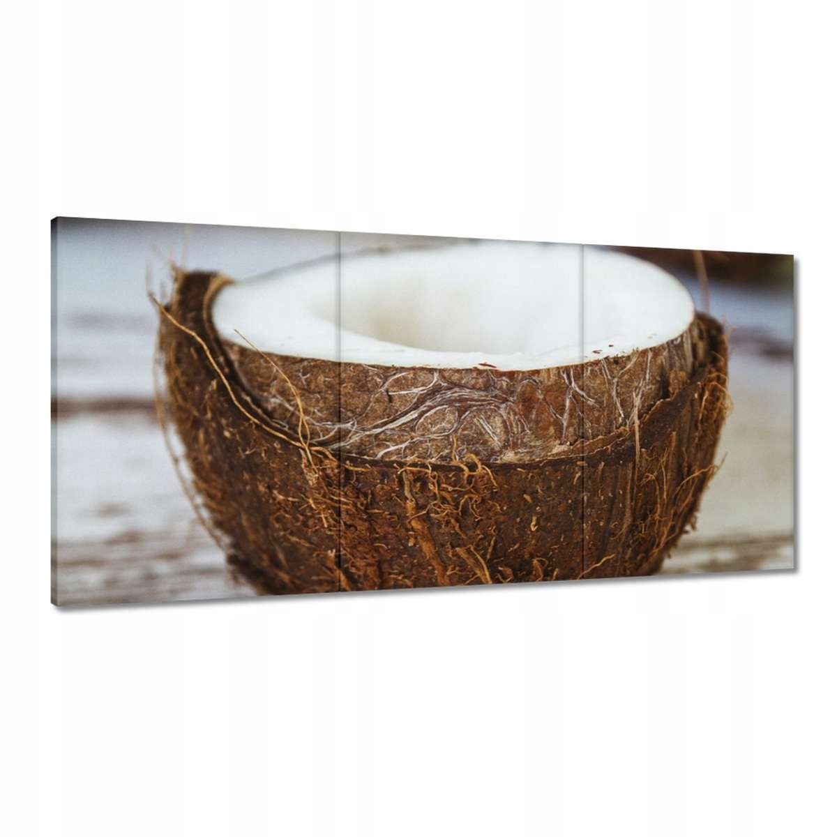 Obrazy 120x60 Kokosový ořech Bronz