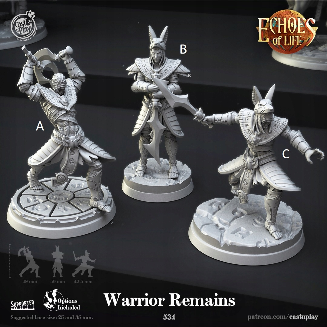 CastNPlay - Warrior Remains Producent inny