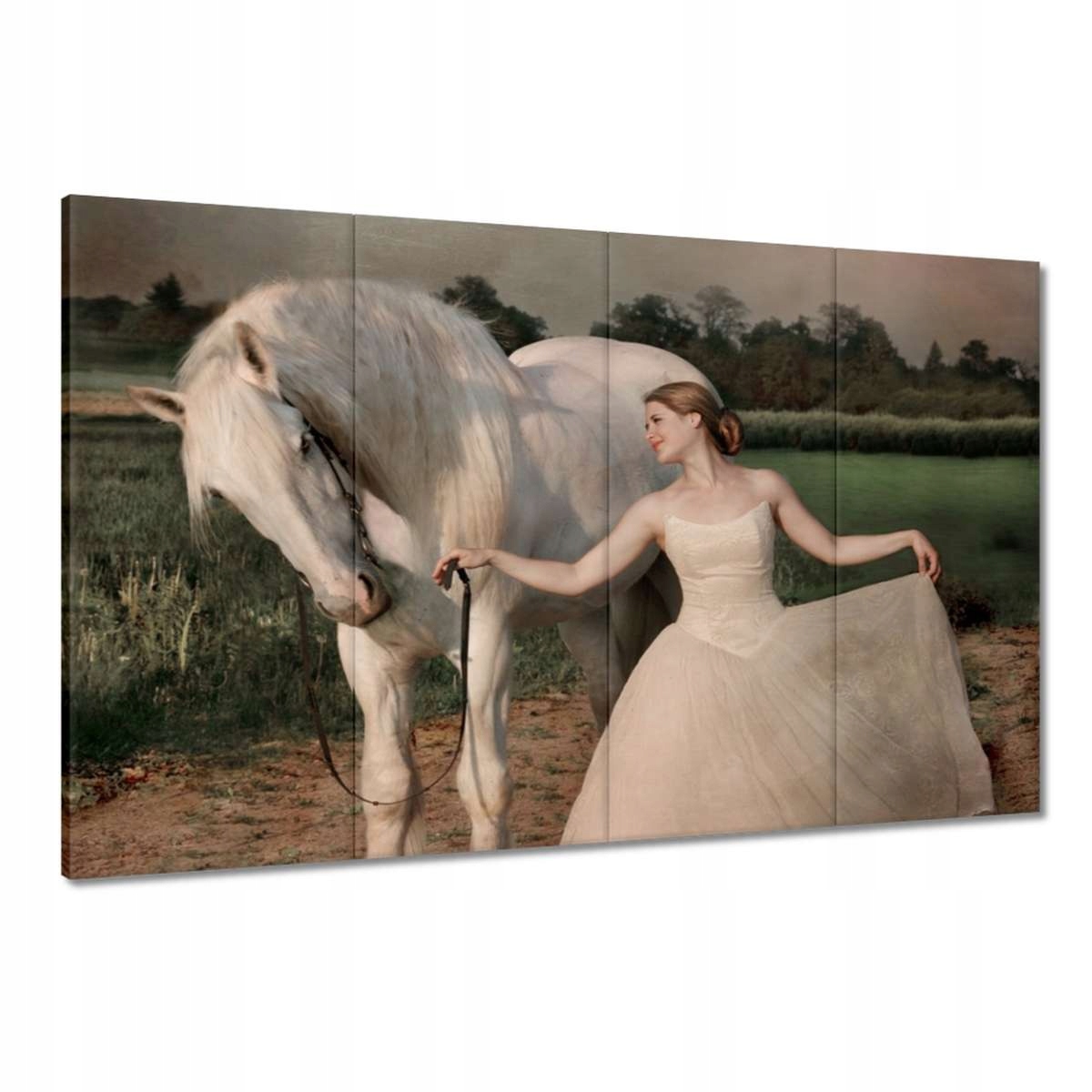 Obrazy 120x80 Kůň Koně Jezdectví