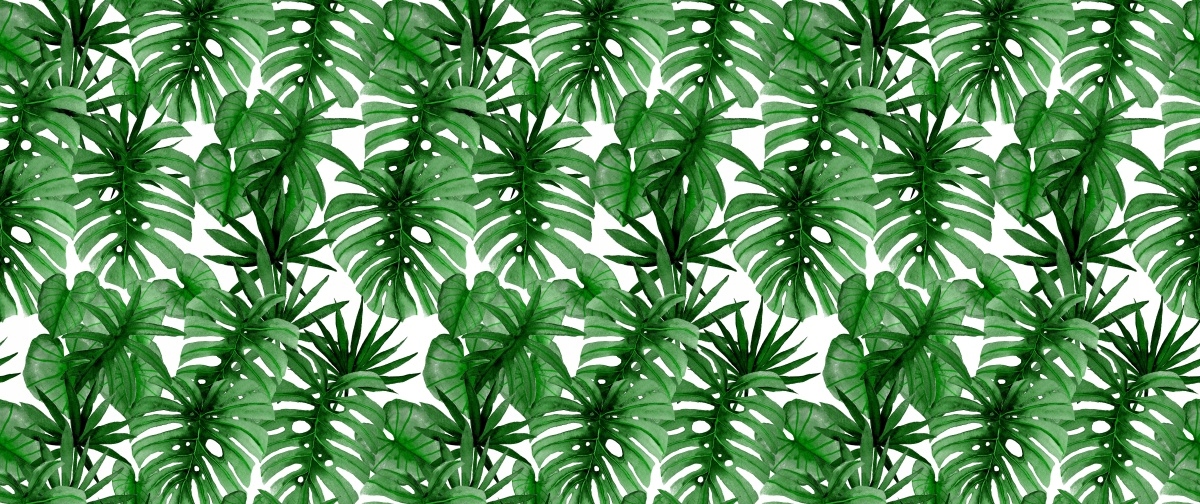 

Fototapeta Flizelinowa Tropikalne liście 250x104