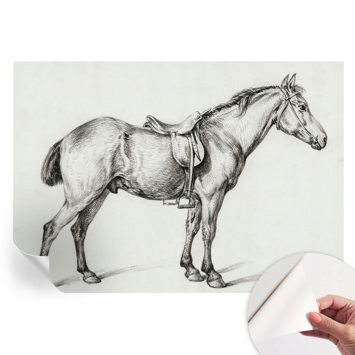 Fototapeta na zeď do ložnice a obývacího pokoje Skica koně 208x146 cm